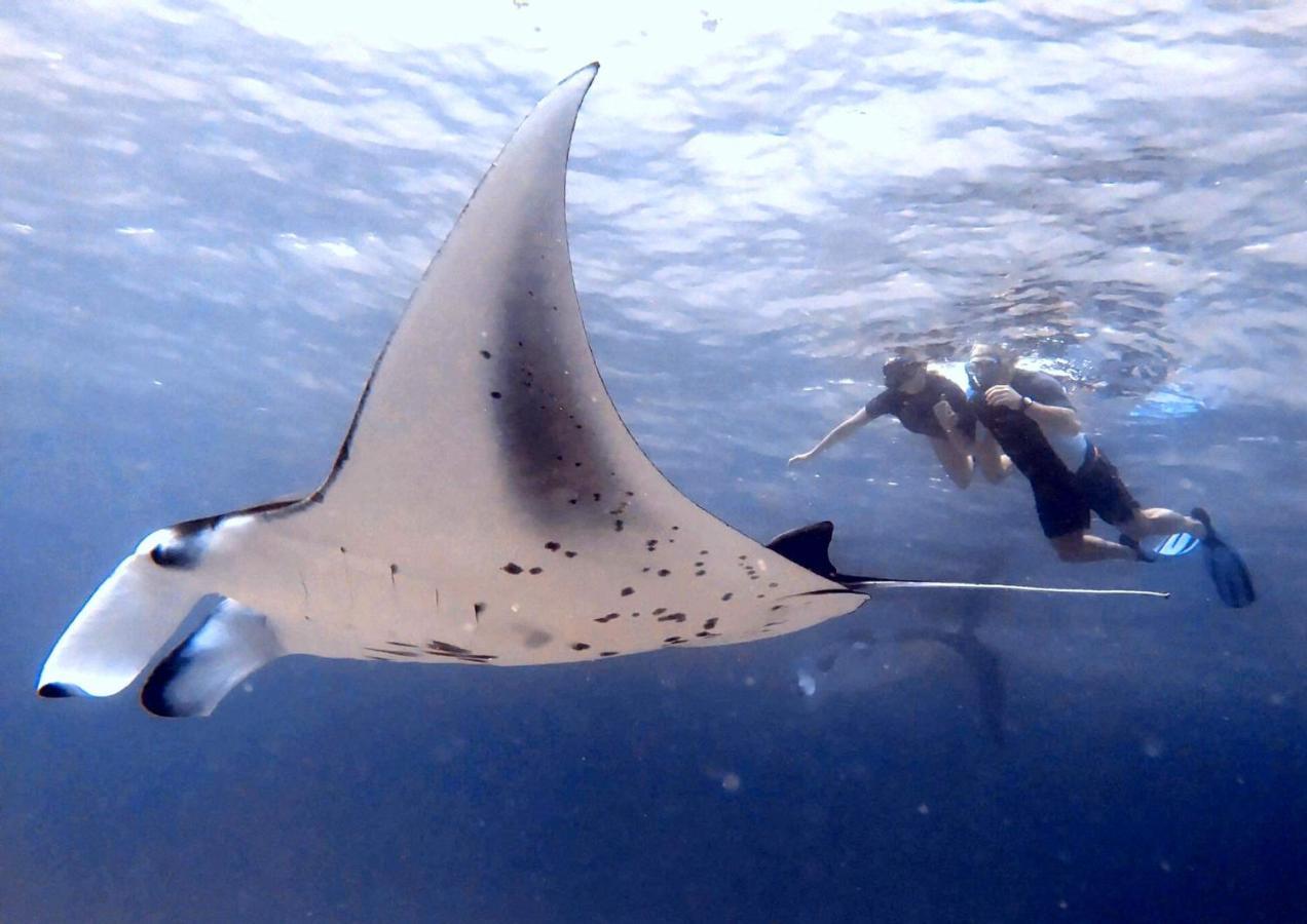 White Tern Maldives Hotel Maamigili Island ภายนอก รูปภาพ