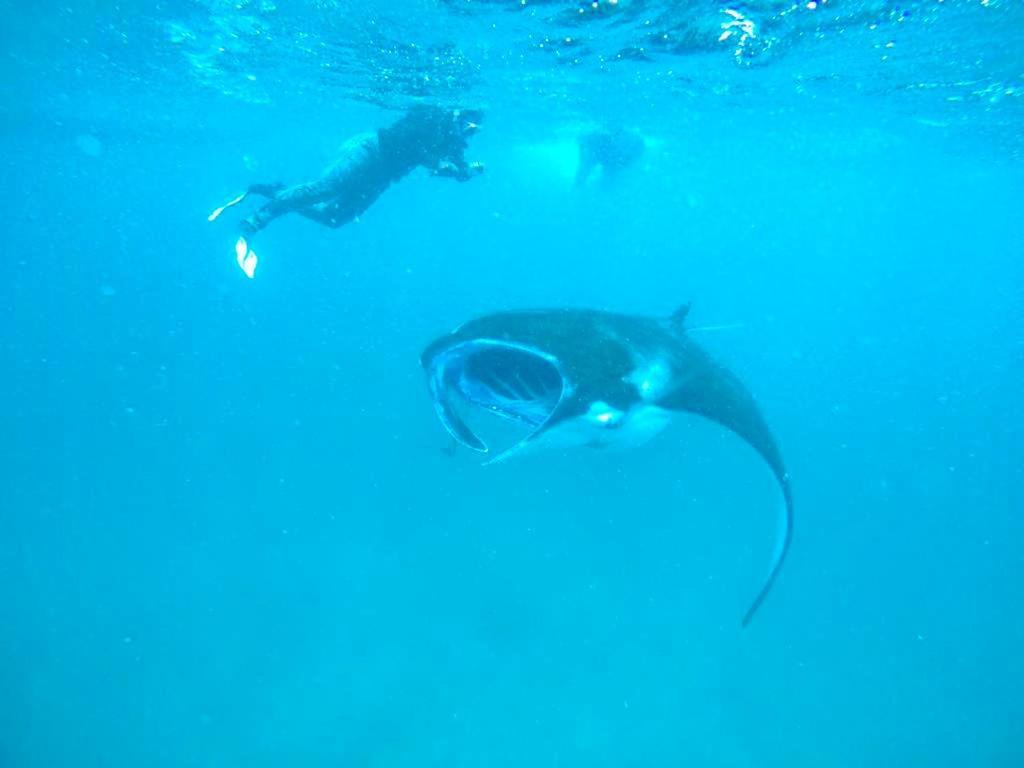 White Tern Maldives Hotel Maamigili Island ภายนอก รูปภาพ